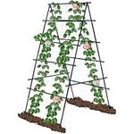 6×3 Feet Garden Trellis for Climbing Plants, Kalolary A-Frame Garden Cucumber Grow Trellises Rustproof Metal Potted Plant Climbing Support for Indoor Outdoor Vegetable Fruits Vines Support