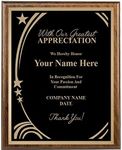 Recognition Plaque, 8x10 Custom Engraved with Our Greatest Appreciation Plaque Award Prime