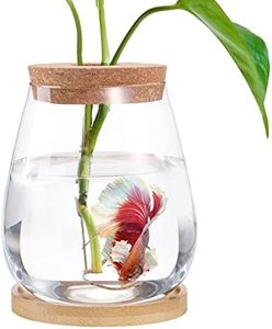 Betta Fish Tank - Mini Bowls for Beta Fish, Aquaponic Fish Tank Clear Hydroponic Plant Terrarium for Promoted Ecosphere Aquatic Ecosystem - 4.3" x 6" Drop-Shaped