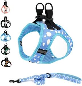 COOWONE Step in Dog Harness and Leash Set, Reflective, Breathable, Blue