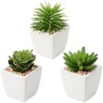 Briful Fake Succulent Plants Artificial Faux Succulents 3PCS Plastic Mini Potted Fake Succulents in Ceramic Pot for Home Desk Bathroom Decoration