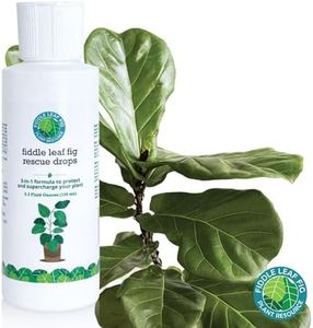 Fiddle Leaf Fig Rescue Drops by Fiddle Leaf Fig Plant Resource | 3-in-1 Liquid Fertilizer, Root Supplement & Immunity Booster (3.3 Fluid Ounces - 100ml)