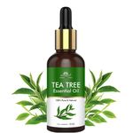 INTIMIFY Tea Tree Essential Oil For Skin, Hair, Skin, Acne For Men & Women (30 ml)