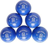 MARIB Wind Cricket Balls - Indoor & Outdoor Soft Training Cricket Ball for Coaching Practice (Blue)