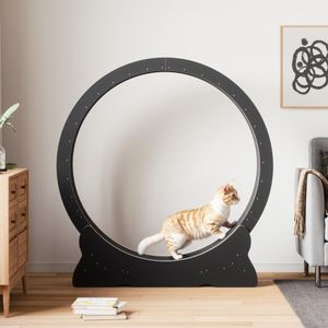 Mondeer XL Cat Exercise Wheel – Large Indoor Running Wheel for Cats