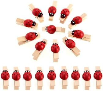 Mini Mollette Naturale di Legno, Mini Clip con Coccinella per DIY, Decorazioni, Chiusura Sacchetti Foto Biglietti Scrapbooking Matrimonio Feste (28PZ x 35MM)