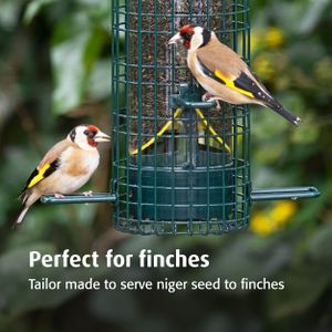 Jacobi Jayne Squirrel Buster Finch Bird Feeder – Squirrel & Pigeon Proof, Easy Clean, for Niger Seeds
