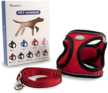 Arnés para Perros Pequeños y Medianos, con Correa de 1,4 m, Reflectante, Transpirable, XS, Negro y Rojo