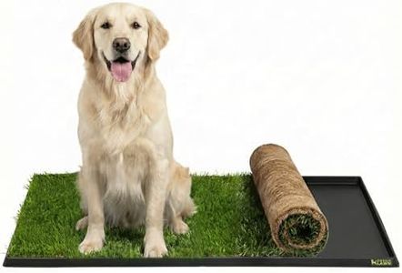 DoggieLawn