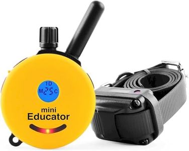 Educator E