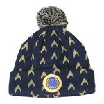 Star Trek Discovery Starfleet Academy Beanie Hat - United Federation of Planets - Official Merchandise for Fans Multicoloured