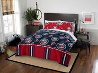 Northwest MLB Minnesota Twins Queen Bed in a Bag Complete Bedding Set #311005905