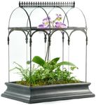 Terrarium Large Glass Succulent Pla