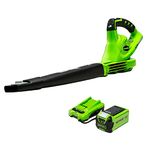 Greenworks 40V 150 MPH Variable Speed Cordless Blower, 2.0 AH Battery Included 24252