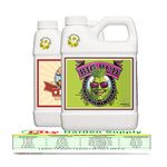 Advanced Nutrients Big Bud Bundle Set Fertilizers Hydroponics with City Garden Conversion Chart, Pipette (500ml)