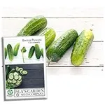 Boston Pickling Cucumber Seeds for 