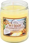 0 Pet Odor Exterminator Candle Pine