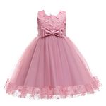 Weileenice Flower Girls Tulle Dress Dusty Pink Lace Applique 5 6 Little Girl Bridesmaid Pageant Ballroom Prom Princess Gowns Glitter Kids Birthday Party School Dance Show Elegant Dresses Wedding Tutu