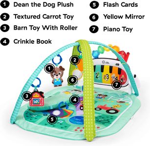 Baby Einstein 4-in-1 Musical Activity Gym – Play Mat for Infants