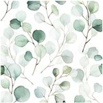 HaokHome 93044 Peel and Stick Wallpaper Green/White Eucalyptus Leaf Wall Mural Home Nursery Decor 0.45m X 3m