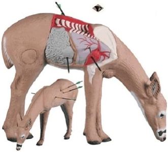 Rinehart Targets 10711 Anatomy Deer Archery Shot Placement Training Model