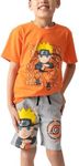 Dragon Ball Z Anime Heroes Boy's Graphic Tee and Shorts Set