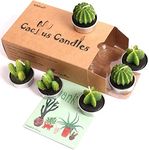 Succulent Candles Cactus Candle Tealight,Christmas Gift Candles,Housewarming Favors for Guests,Bridal Shower Candles Favors,Baby Succulents Favors Baby Shower,Home Decors (6 Pcs in Gift Box)