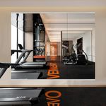 EVORALIS Gym Mirror for Home Gym Wall, 56''x16''x3PCS, Large Full Body Tempered Glass Mirror, Frameless Wall Mirror, for Home Gym,Yoga, Bedroom, Bathroom,Dance Studio(142.2×40.6cm，Set of 3，Silver)