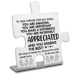 You are Incredibly Important Appreciated Decor Sign For Women, Thank you Appreciation Gifts for Coworkers Mentor Teacher Nurse, Going Away Gift Retirement Gift for Coworker Boss Friend-DX130