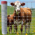 Farm Fence 5x164FT, Thickened 12 Ga