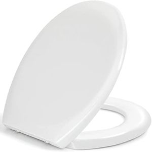Toilet Sea
