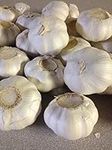 Garlic Bulbs, Whole Garlic Bulbs, 10 Bulbs, Ready for Planting or Preparing as a Great Flavoring for Any Dish. Jacobs Ladder