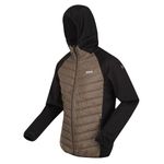 Regatta Mens Hooded Soft Shell Jacket Padded Coat, Crocodil/Blk, L EU