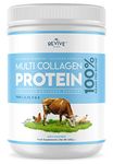 Multi Collagen Protein Powder 400g - Types I, II, III, V & X - Hydrolyzed Grass Fed Bovine, Wild Caught Fish, & Free-Range Chicken & Eggshell Collagen (1 Month Supply)