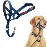 HALTI Headcollar - to Stop Your Dog Pulling on The Lead. Adjustable, Reflective and Lightweight, with Padded Nose Band. Dog Training Anti-Pull Collar for Medium Dogs (Size 3, Cobalt Blue)