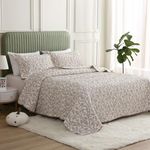 Marina Decoration Jacquard Embroidered Stitching Coverlet Bedspread Ultra Soft Bedding Solid 3 Piece Summer Quilt Set with 2 Quilted Shams, Grey Leaves Queen/Full Size