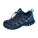 Salomon Men's XA Pro 3D Gore-Tex Trail Running Shoes, Navy Blazer/Hawaiian Ocean/Dawn Blue, 10.5 UK