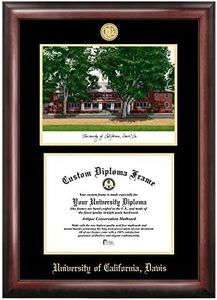 Campus Images NCAA UC Davis Aggies Gold Embossed Diploma Frame with Lithograph Multicolor One Size