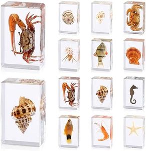 12 Pcs Ocean Animal Insect in Resin Specimen Bugs Collection Paperweights，12 Styles Real Bug Specimen Bug Kit Preserved in Resin for Scientific Educational Display Supplies (Ocean)