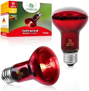 REPTI HOME