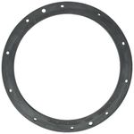 Pentair 79207500 Vinyl Gasket Replacement Pool and Sap Light