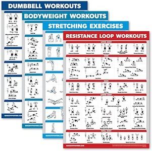 Palace Learning 4 Pack - Dumbbell Workouts + Bodyweight Workouts + Stretching Exercises + Resistance Loops - Set of 4 Workout Charts (18” x 24”, LAMINATED)