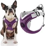 Gooby Small Dog Harness, Purple - Memory Foam, 4 Point Adjustment, X-Frame, No Pull, Size Small, Perfect for Chihuahuas, Yorkies, Pomeranians, Extra Small Breeds