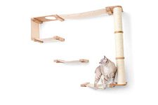 CatastrophiCreations Cat Mod Climb Track Handcrafted Wall Mounted Cat Tree Shelves, Unfinished/Natural, One Size