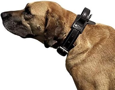 DINGO GEAR
