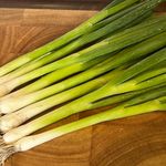 Spring Onion Seeds, Pack of 500 Seeds – Long White Ishikura Spring Onion Planting Seeds for Gardens, Pots & Allotments – Suitable for Indoor & Outdoor Planting – Packed in The UK by Meldon Seeds