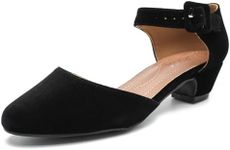 LIURUIJIA Women's Low Block Chunky Heels Closed Toe Ankle Strap Work Wedding Dress Pumps Shoes Velvet Black 45 US 11