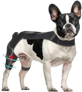 Petdream D