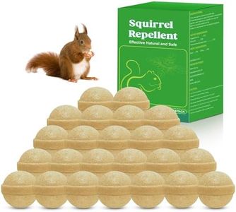 Squirrel R