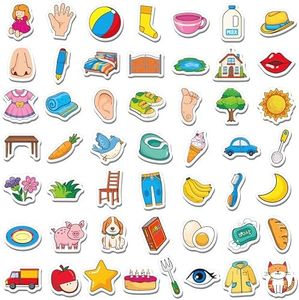 50 PCS Fir